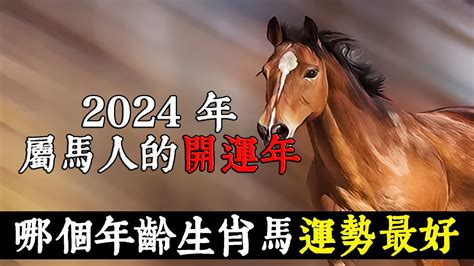 馬的幸運數字|2024年屬馬人必知幸運數字